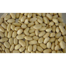 Nouvelle Crop De Bonne Qualité Fresh Nut / Kernals Blanchis D&#39;arachide